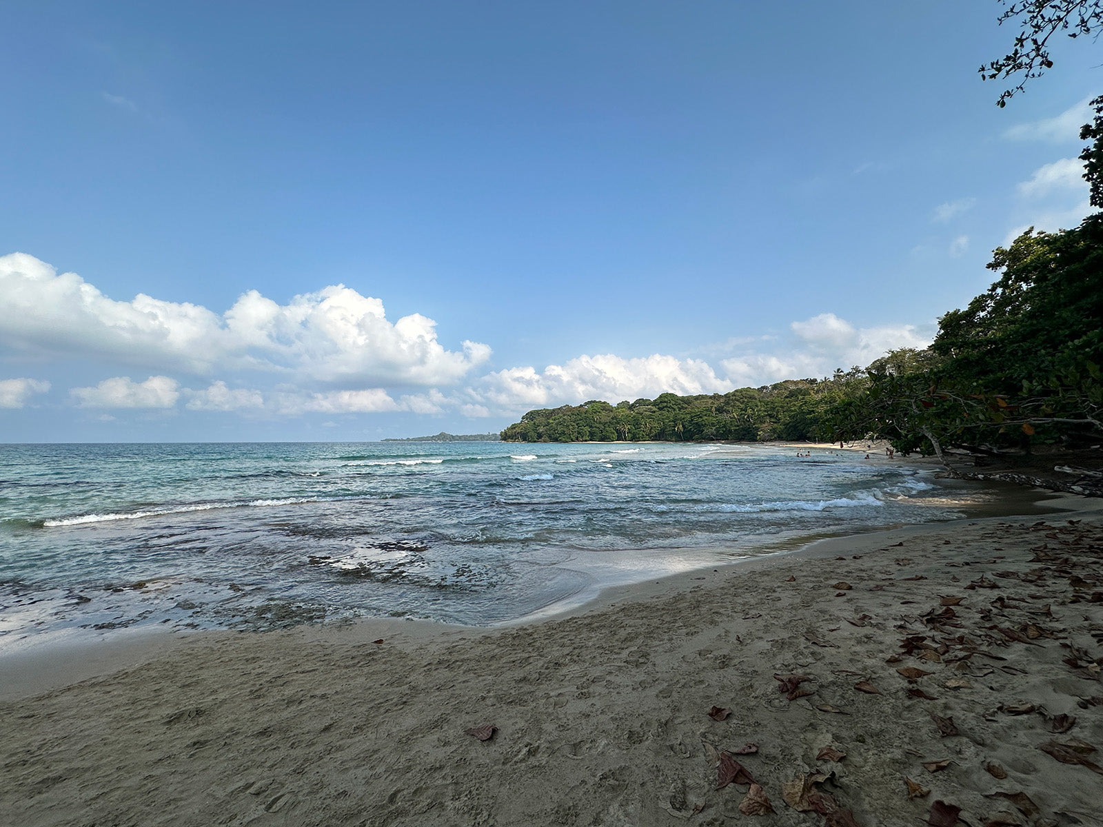 Costa Rican Cacao & Culture Tour