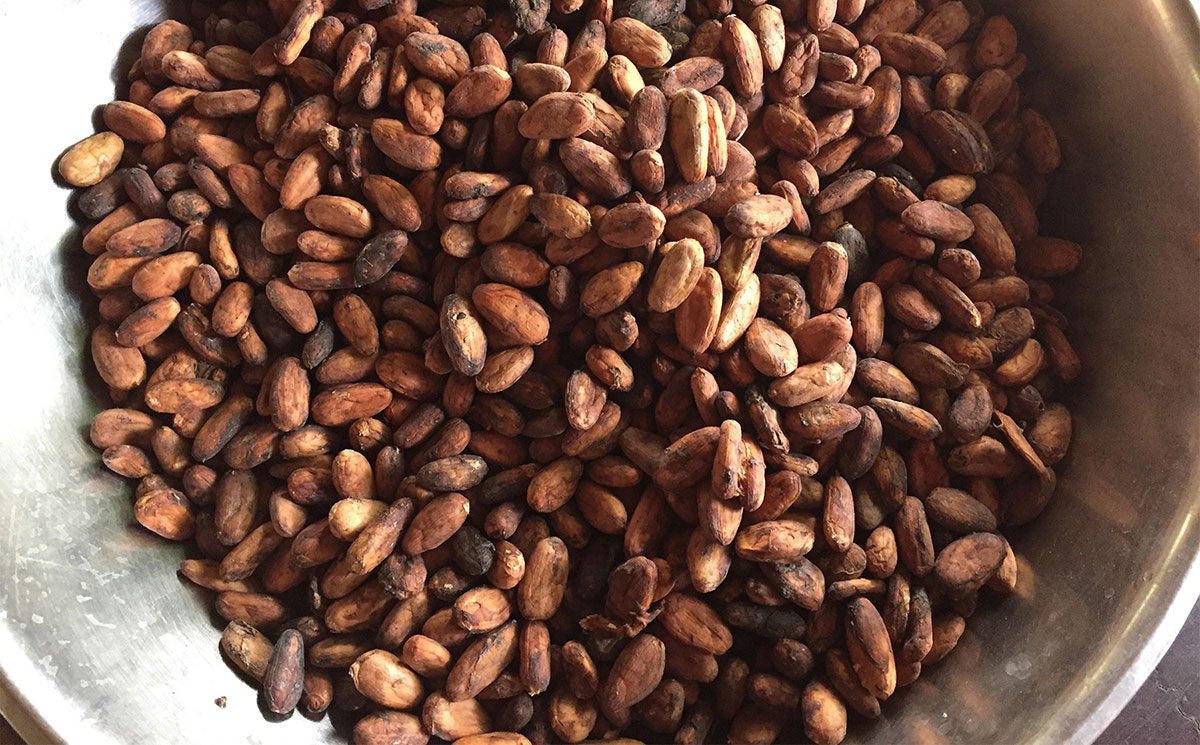 Testing Ceremonial Cacao for Mold and Mycotoxins