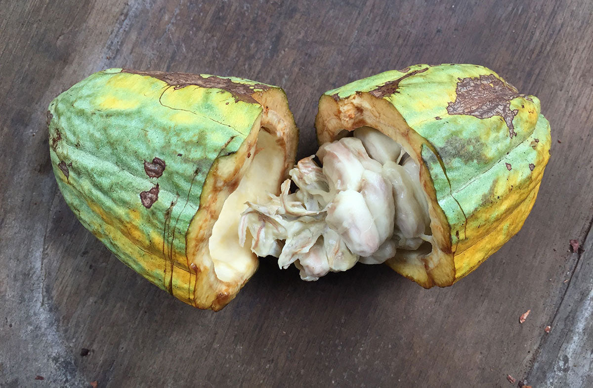 How to Make Ceremonial Cacao