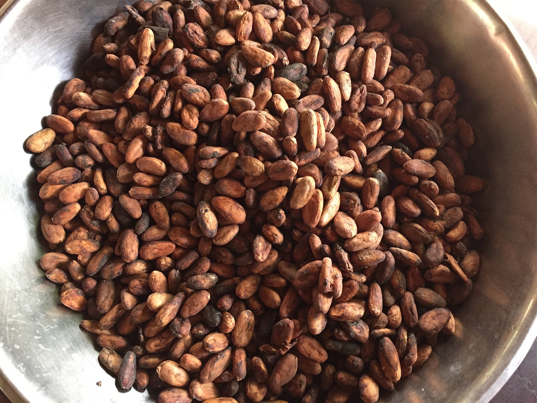 Pruebas de cacao ceremonial para detectar moho y micotoxinas