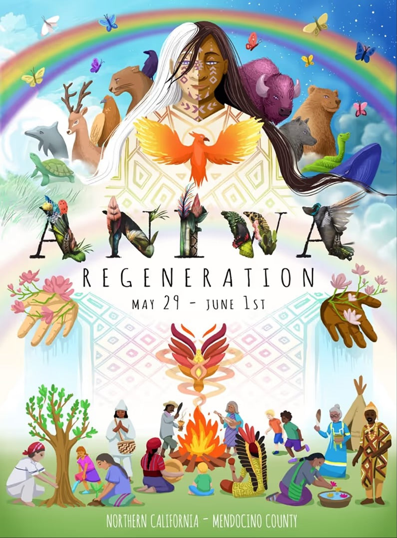 Aniwa Drinks