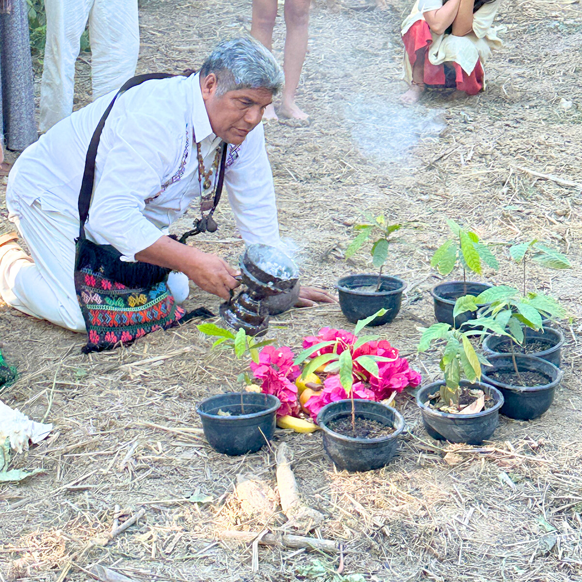 The Cosmovision of Cacao in the Maya Yokot'an Culture: 4-Part Course with Abuelo Efrén