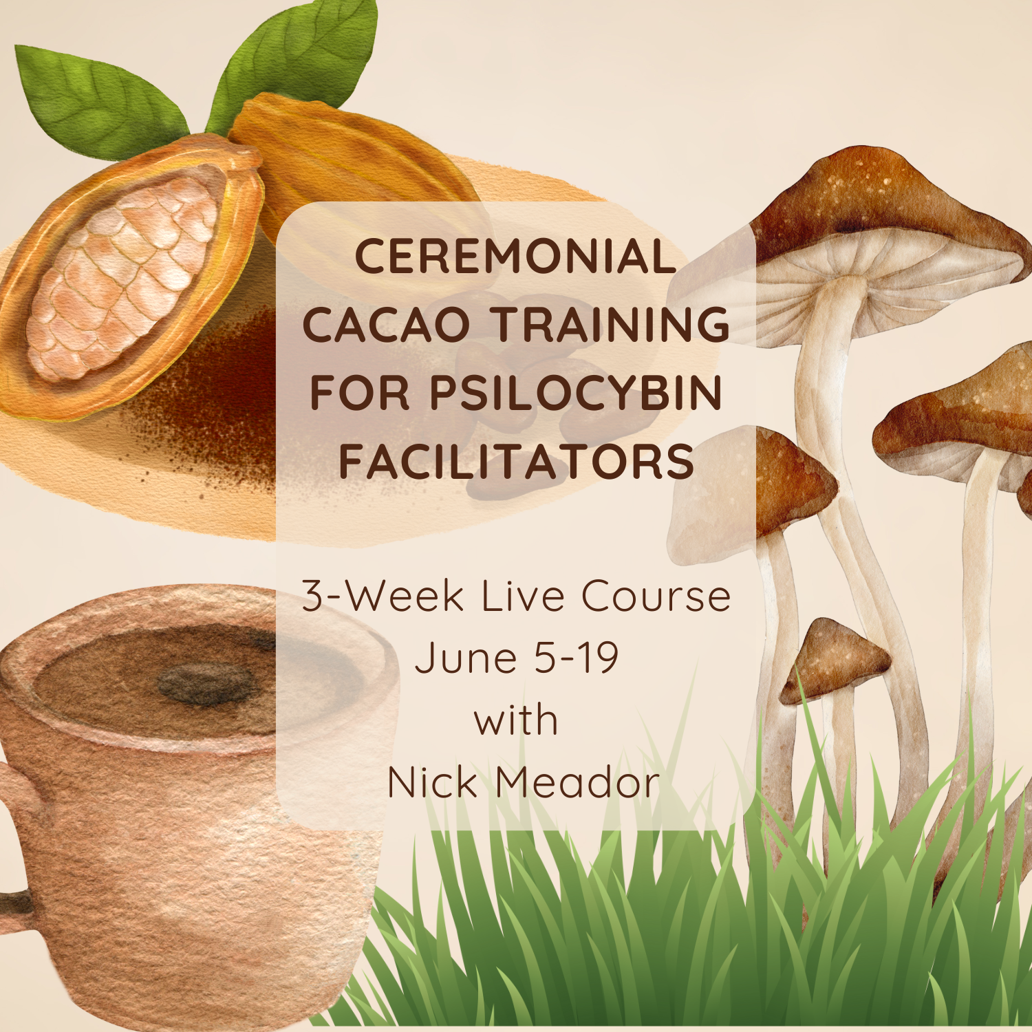 Ceremonial Cacao Training for Psilocybin Facilitators
