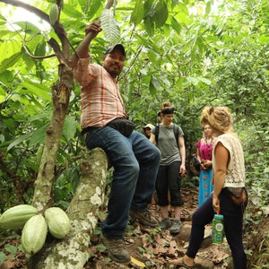 Origins Cacao Tour - Ouest du Guatemala, mars 2024