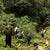 Origins Cacao Tour - Ouest du Guatemala, mars 2024