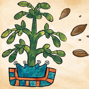 WEBINAR: The History and Mysteries of Mexican Cacao - Dec 5, 2024