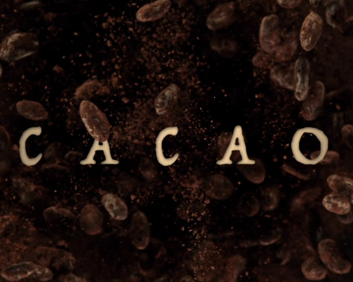 Cacao Documentary Screening - Jan 30